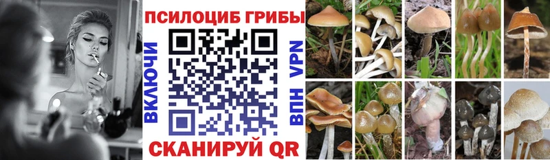 наркошоп  Бердск  Псилоцибиновые грибы мухоморы 